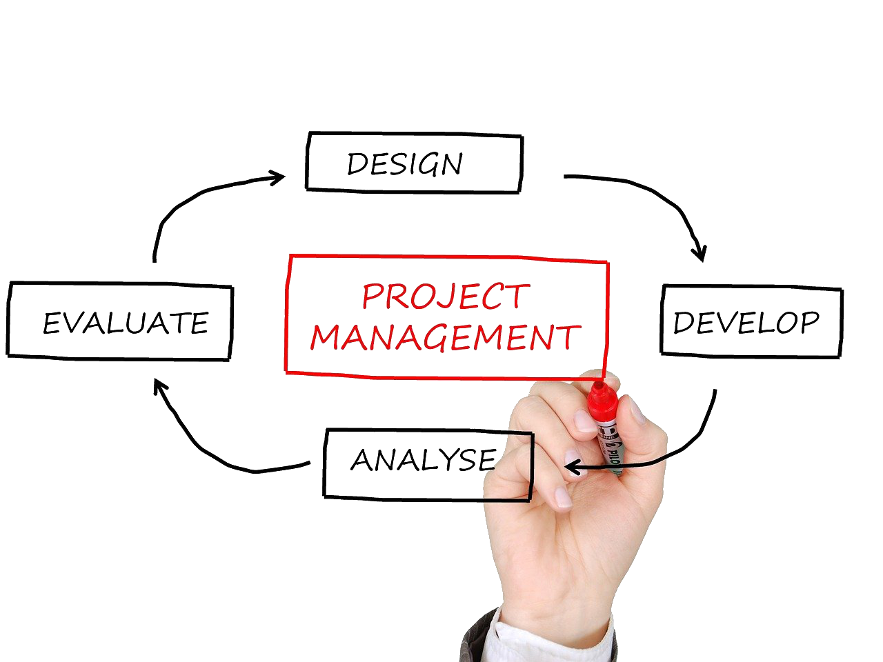 proyecto
